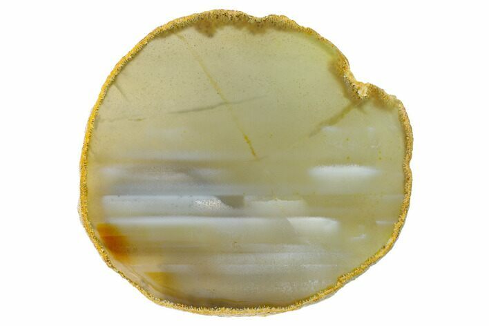 Polished Brazilian Agate Slice #156291
